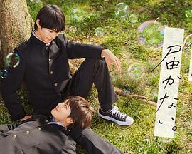 谷歌优化师兼职网站推荐